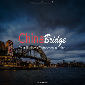 China Bridge Online Offer System