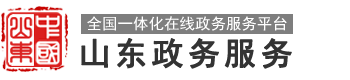 山东政务服务网 临沂市•临港经济开发区