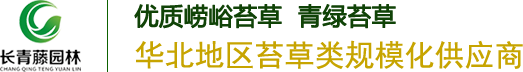 北京长青藤园林绿化工程有限公司